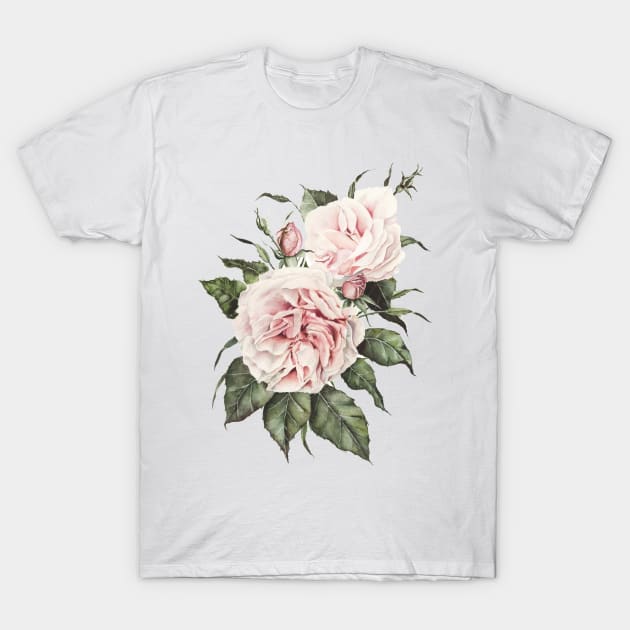 Pink Garden Roses T-Shirt by ShealeenLouise